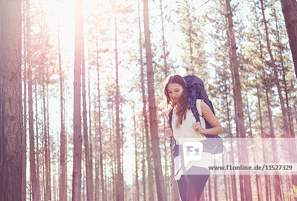 Young woman with backpack hiking in sunny woods