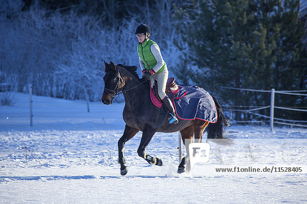 Frau reitet Pferd im Winter