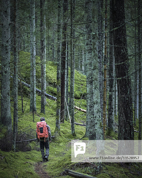 Man hiking through forest