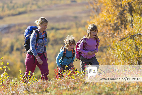 Mother hiking with children