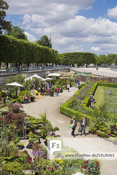 Gartenschau im Garten der Tuilerien  Paris  Frankreich