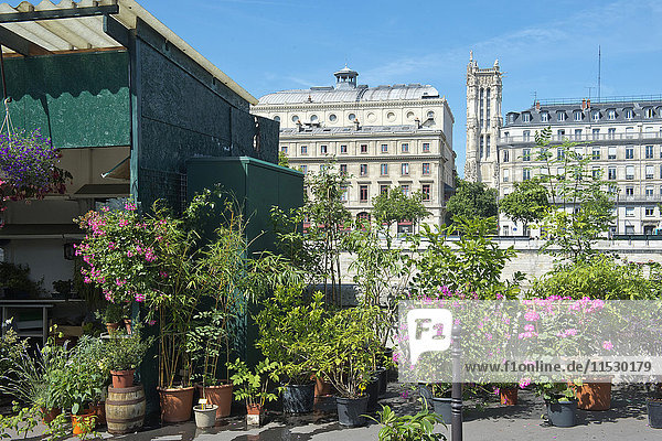 Frankreich. Paris (75)  4. Arrondissement. Ile de la Cite  Quai de Corse  Blumenmarkt umbenannt in'Marche aux fleurs Reine Elisabeth II' am 7. Juni 2014. die'Tour Saint Jacques' im Hintergrund.