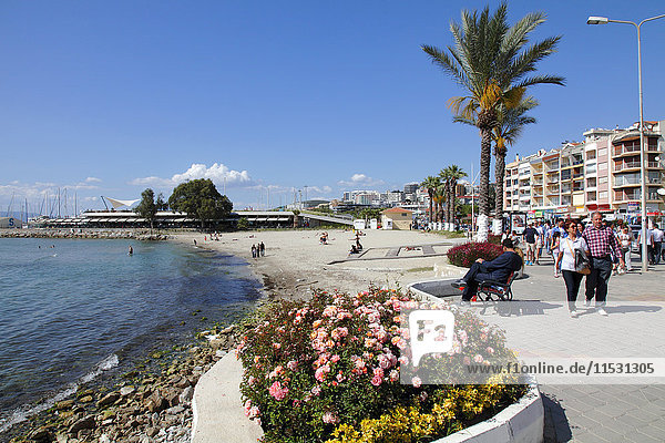 Turkey  province of Aydin  Kusadasi  the sea front  the marina in the background