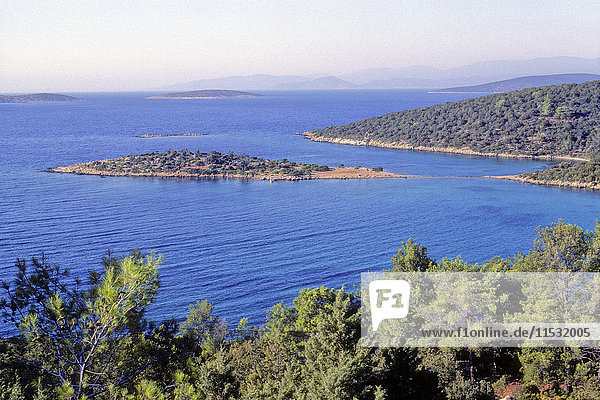 Turkey  Aegean coast  province of Mugla  Bodrum peninsula