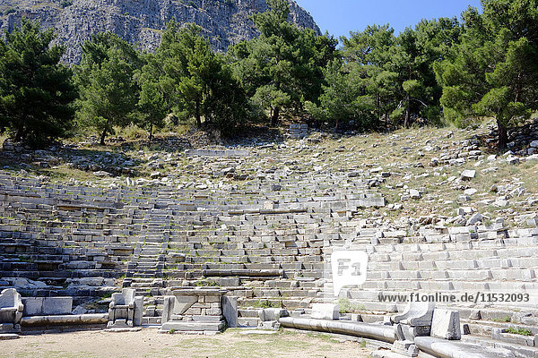Turkey  province of Aydin  Gullubahce village  Priene archeological site  the theater