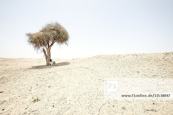 Man sitting alone under tree in the desert