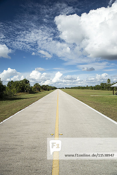 USA  Florida  Everglades  road