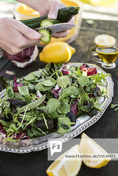 Frühlingssalat aus Babyspinat  Kräutern  Rucola und Salat  Gurkenscheiben