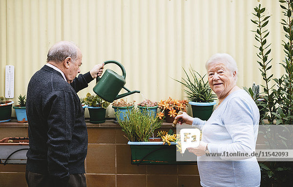 Seniorenpaar Gartenarbeit auf dem Balkon