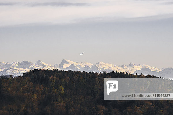 Schweiz  Alpenpanorama und Flugzeug