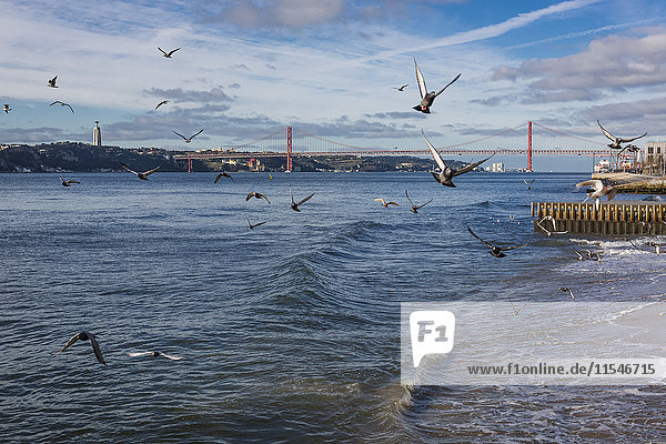 Portugal  Lissabon  25 de Abril Brücke und fliegende Tauben