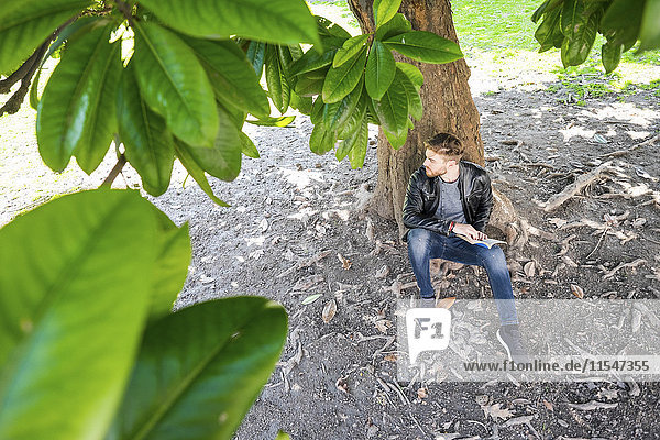 Mann mit Buch  der unter einem Baum sitzt und etwas beobachtet.