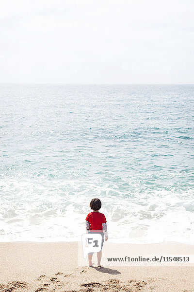 Back view of little boy standing on the beach looking at the sea