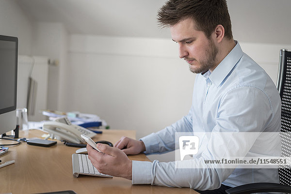 Young man at desk in office looking at cell phone