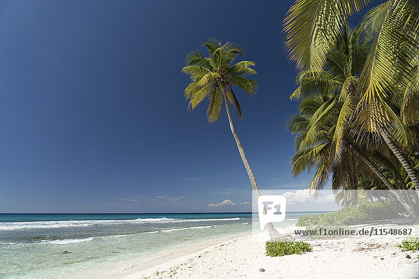 Karibik  Dominikanische Republik  Strand auf der Karibikinsel Isla Saona