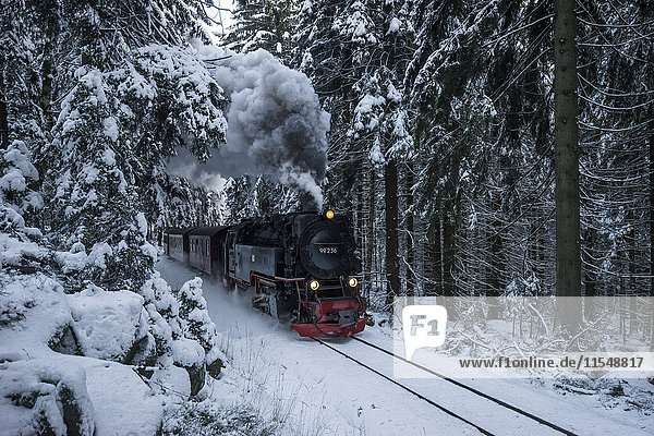 Deutschland  Sachsen-Anhalt  Nationalpark Harz  Schmalspurbahn Harz im Winter