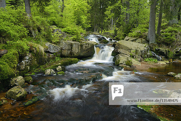 Deutschland  Niedersachsen  Harz  Wasserfall des Bergbaches Warme Bode  Unterer Bodefall
