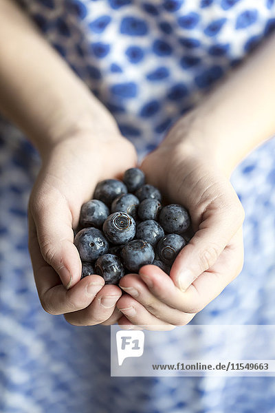 Hands of girl holding blueberries