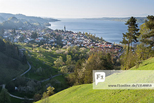 Deutschland  Sipplingen  Blick über Stadt und Bodensee