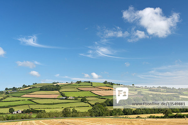 UK  Wales  Felder und Wiesen bei Brecon