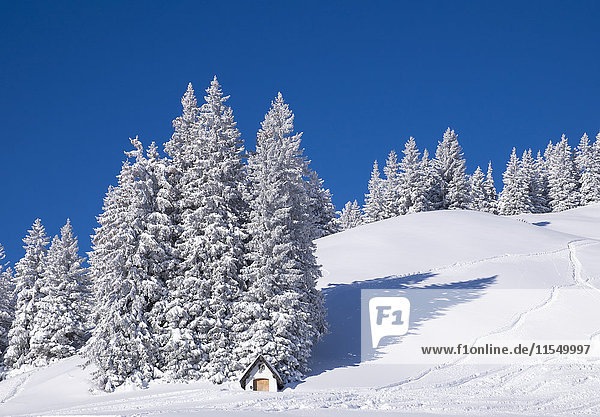 Deutschland  Oberbayern  Lenggries  Kapelle im Skigebiet Brauneck