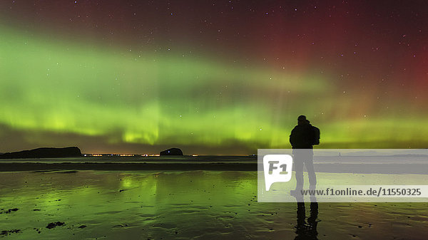Schottland,  East Lothian,  Silhouette eines Mannes,  der am Seacliff Beach steht und Nordlichter beobachtet.