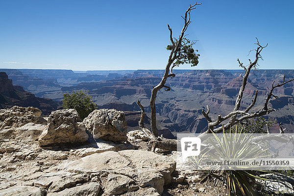 USA  Arizona  South Rim  Grand Canyon  Aussichtspunkt