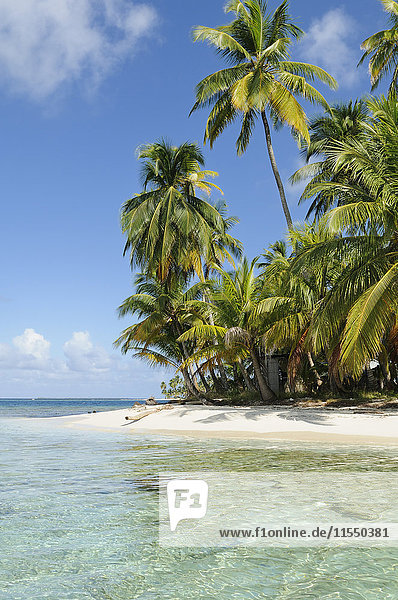 Panama  San Blas Inseln  einsame Insel  Strand mit Palmen