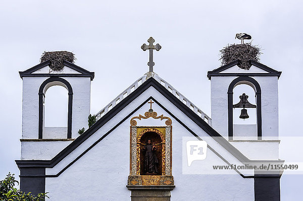 Portugal,  Algarve,  Faro,  Storch im Storchennest auf der Kirche