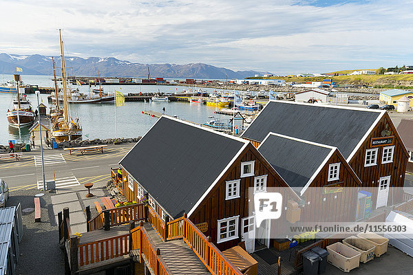 Harbour Husavik Iceland Polar Regions