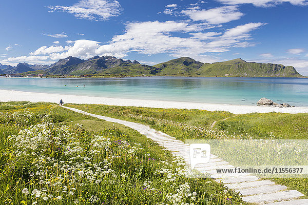 Grüne Wiesen und Blumen  umgeben von türkisfarbenem Meer und feinem Sand  Ramberg  Lofoten  Norwegen  Skandinavien  Europa