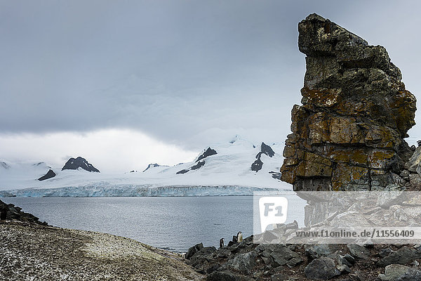 Penguins below dramatic rock formations Half Moon Bay South Sheltand Islands Antarctica Polar Regions