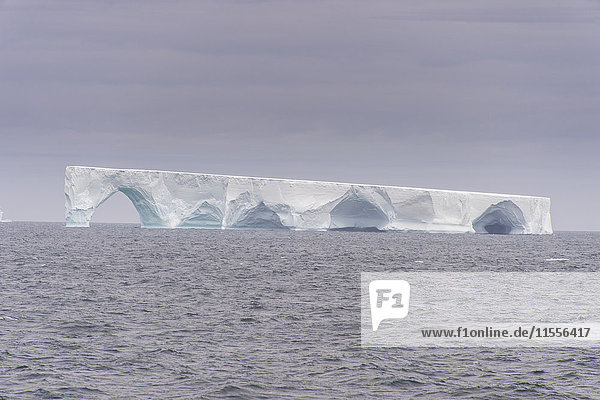 Schwimmender Eisberg  Elefanteninsel  Südliche Shetlandinseln  Antarktis  Polarregionen