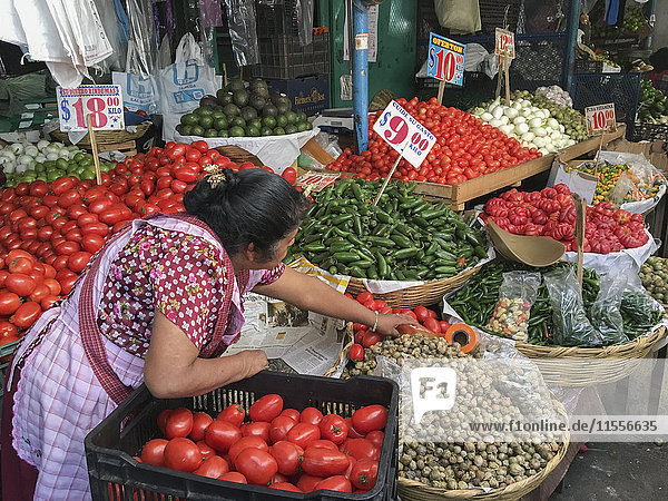 Frau verkauft Produkte auf einem traditionellen Markt  Oaxaca  Mexiko  Nordamerika