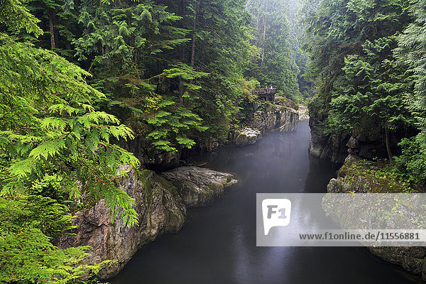 Capilano River Regional Park  Vancouver  British Columbia  Canada  North America