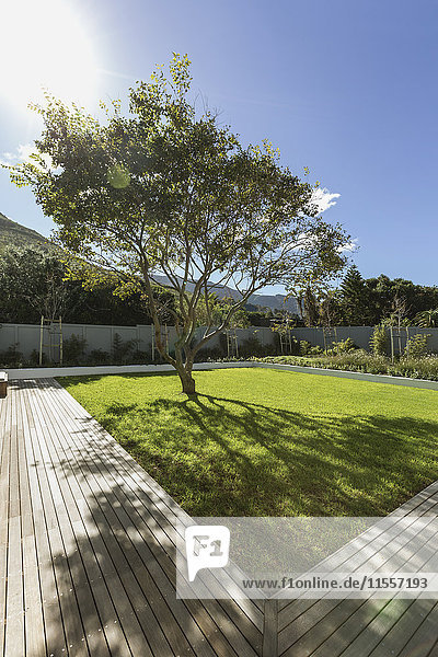 Sonnenschein wirft Baumschatten im Luxusgarten