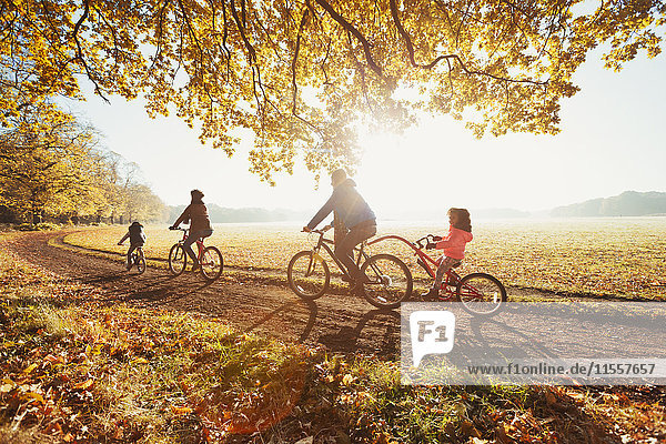 Junges Familienradfahren im sonnigen Herbstpark
