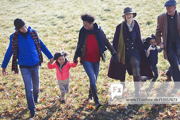 Mehrgenerationen-Familie beim Händchenhalten und Wandern im sonnigen Herbstpark
