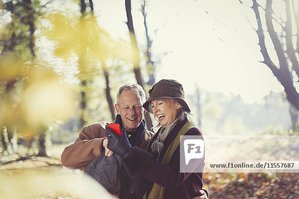 Lächelndes Seniorenpaar mit Handy im sonnigen Herbstpark