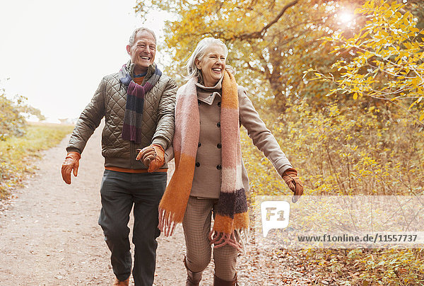 Lächelndes Seniorenpaar hält sich an den Händen und geht auf einem Pfad im Herbstwald.