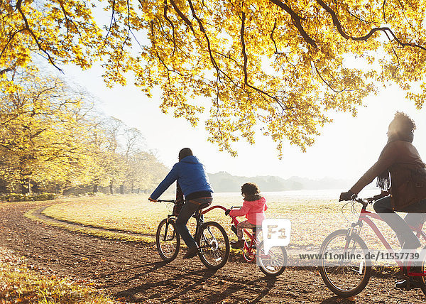 Young family bike riding on path in sunny autumn woods