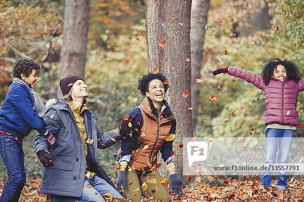 Verspielte junge Familie wirft Herbstlaub in den Wald