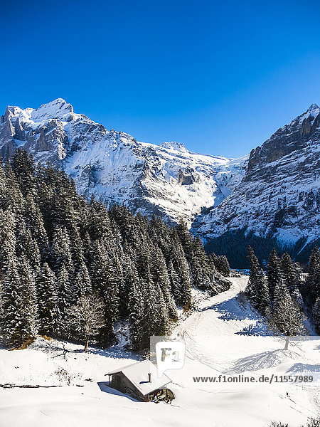 Schweiz,  Kanton Bern,  Grindelwald,  Winterlandschaft mit Skihütte,  Mittelhorn und Wetterhorn