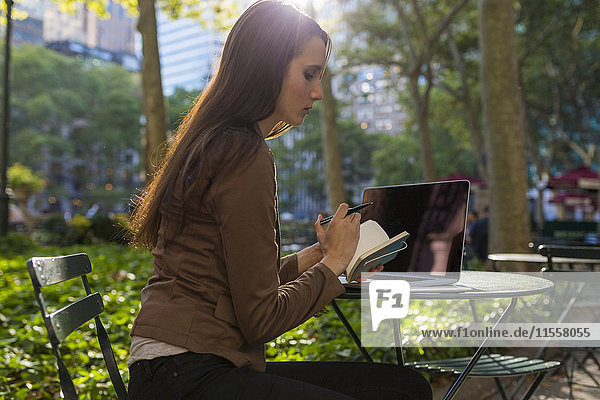 USA  New York  Manhattan  junge Geschäftsfrau mit Laptop und Notebook bei Tisch im Park