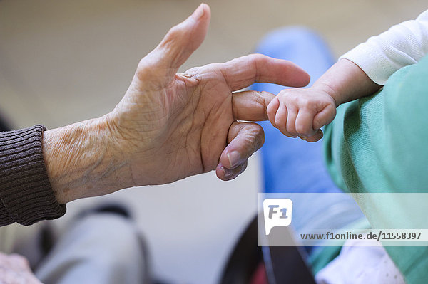Baby hält den Finger an der Hand ihrer Urgroßmutter