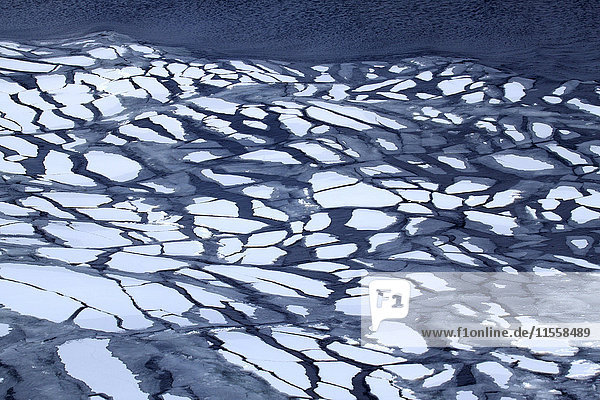 Arktischer Ozean  Eisschollen auf der Barentssee