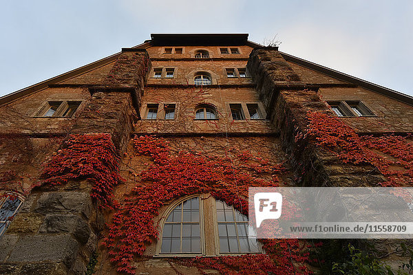 Deutschland  Rothenburg ob der Tauber  Fassadenbegrünung im Herbst