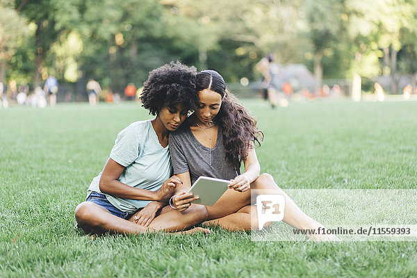 Two best friends sitting on a meadow of a park using mini tablet