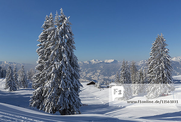 Österreich  St. Johann im Pongau  verschneite Winterlandschaft