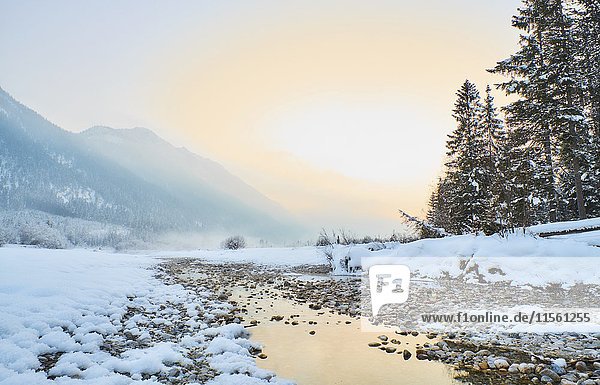Germany  Bavaria  Vorderriss  Isar Valley in winter
